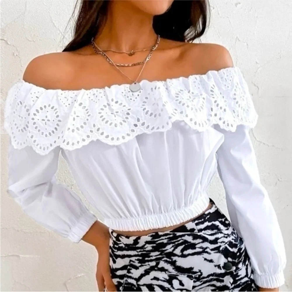 ZARA embroidered eyelet poplin top 1971/ 074